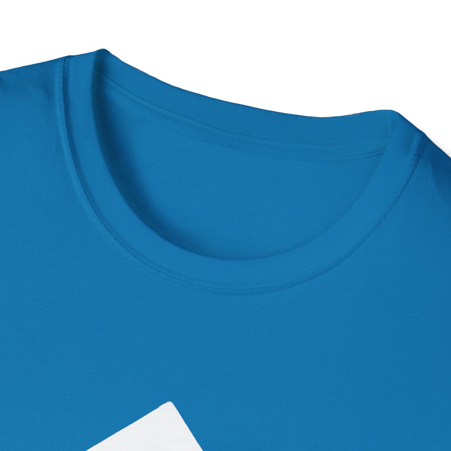 Please Insert Brisket Into Mouth Hole T-Shirt