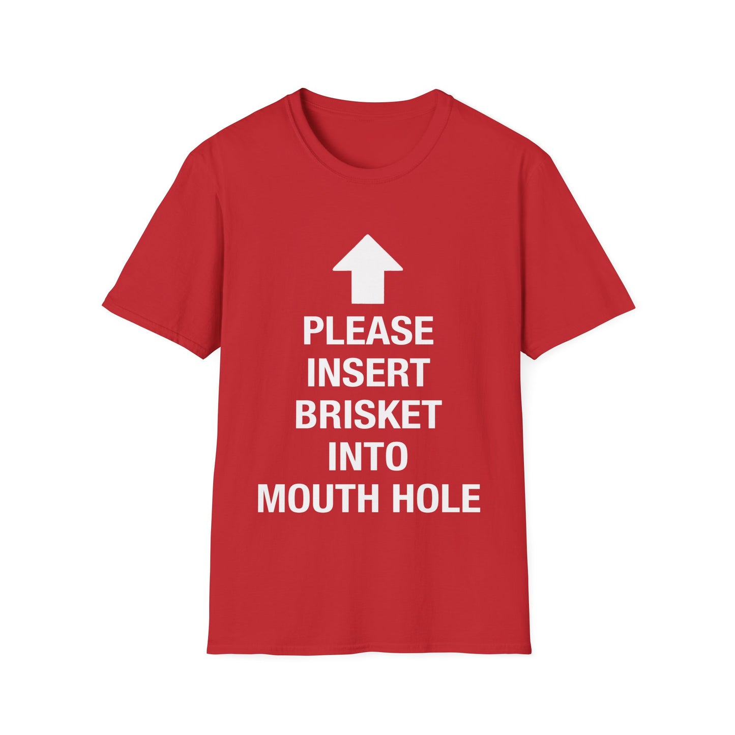 Please Insert Brisket Into Mouth Hole T-Shirt